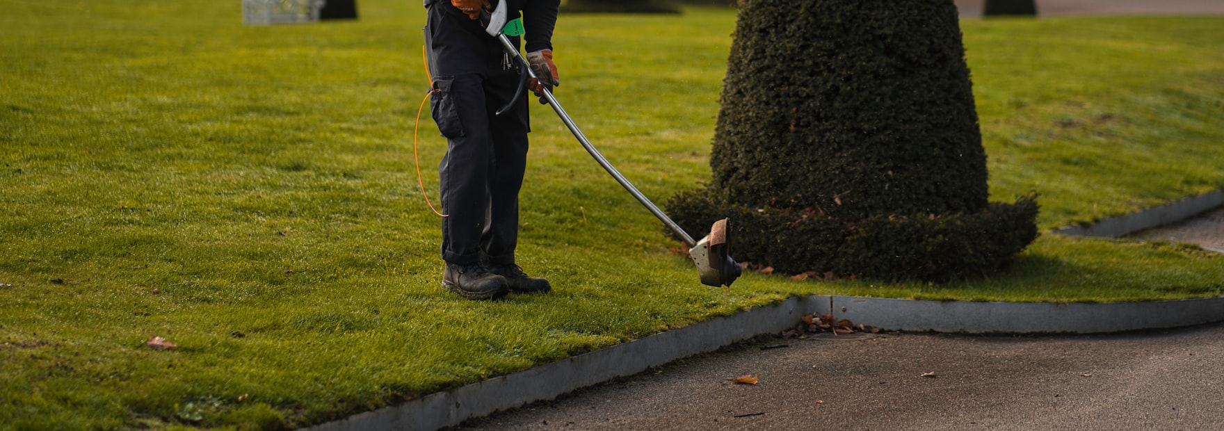 Verzorgde tuin